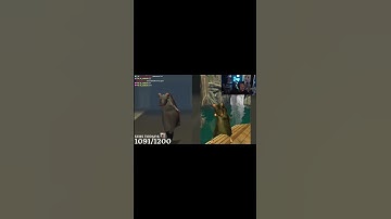 Proof zeusy should make me mod #zeusyt @ZeusyAF #twitch #clips #capcut