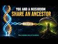 How Evolution Actually Works (It's Not What You Think)
