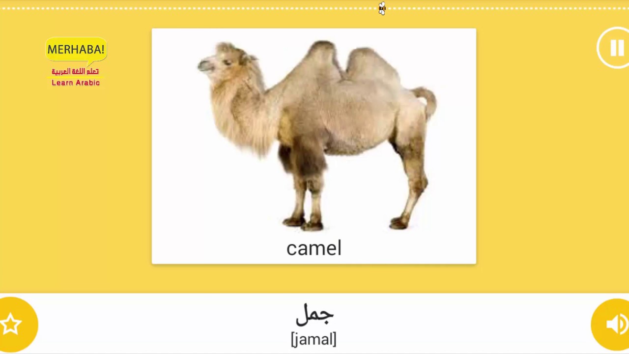 Review Environment - important words - Space - Earth - Learn Arabic - تعلم اللغة العربية