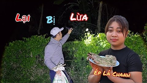 Đang Đặt Cạm Chuột Bất Ngờ Bị Cuộc Gọi Lừa Đảo / HIỆP CUỘI TV