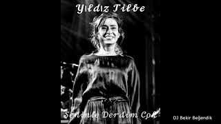 Yıldız Tilbe - Seninle Derdim Çok ( Bekir Beğendik Remix )