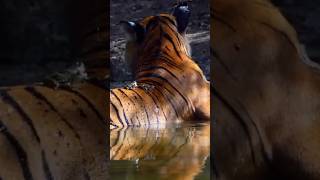 Don't worry about anything, have fun