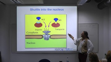 Protein Prediction 2 for Bioinformaticians - Lecture 7, Predict Sub-Cellular Localization