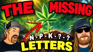 What If the 17 Essential Cannabis Nutrients Aren’t the Whole Story?