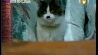 Vicki Zhao Wei-Rainy Sunday