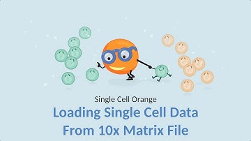 Single Cell Orange 02: Loading Single Cell Data from 10x Matrix