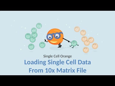 Single Cell Orange 02: Loading Single Cell Data from 10x Matrix