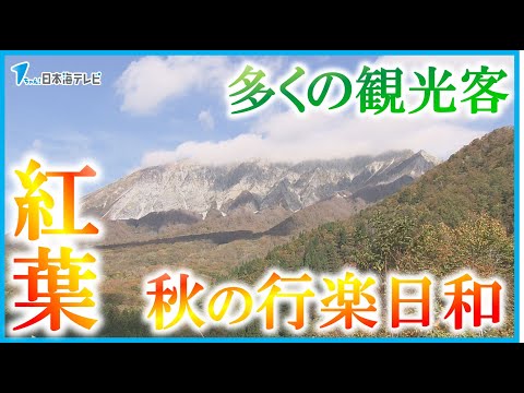 【大山では紅葉が見頃】「リフレッシュができました」　秋の行楽日和に山陰各地も観光客でにぎわう