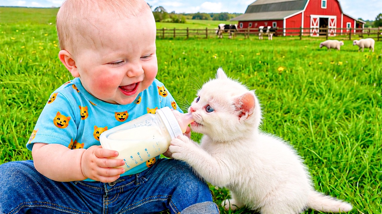 Funniest Baby And Cat Are BEST Friends 👶🐱 Funny Baby And Cats Video - Minute Munchkins