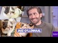 Jake Gyllenhaal on Flufflestiltskin Instagram