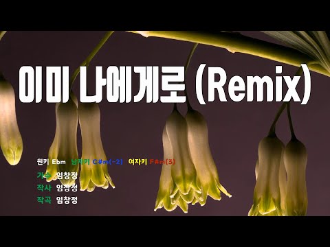 [은성 반주기] 이미나에게로(Remix) - 임창정
