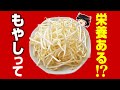 【ゆっくり解説】もやしはなぜ安いのか。歴史や栄養について