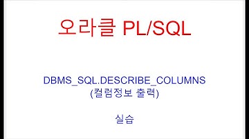 DBMS_SQL실습, 컬럼정보출력,DESCRIBE_COLUMNS,DESC_TAB, DESC_REC,오라클PLSQL, 오라클교육, SQL교육,자바교육,오라클학원,SQL학원, 자바학원