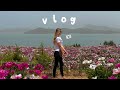 Countryside in Korea Vlog ⛰🌷🎥 + tips for traveling around korea | GOHEUNG VLOG
