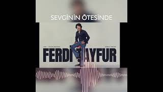 FERDİ TAYFUR SEVGİNİN ÖTESİNDE