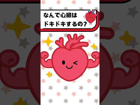 なんで心臓はドキドキするの？#都音ゆずたみ #雑学 #豆知識