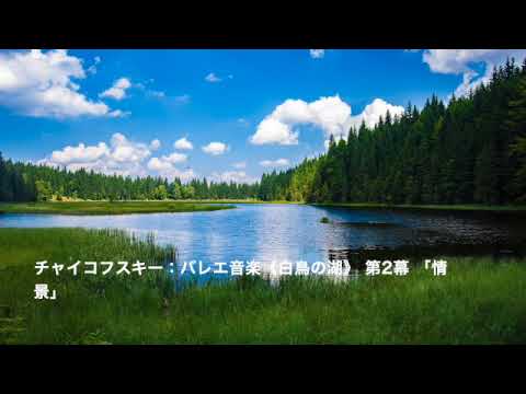 チャイコフスキー：バレエ音楽《白鳥の湖》 第2幕 「情景」【クラシック音楽】