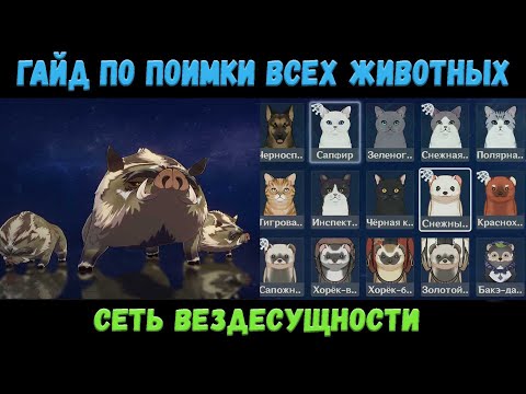 Полный Гайд по Поимки всех Животных / Сеть Вездесущности / Геншин Импакт 2.3