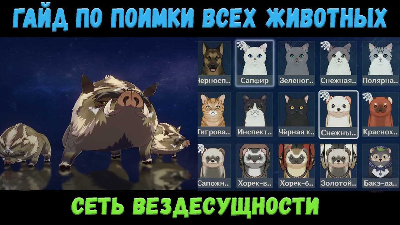поймать животное с помощью сети вездесущности. поймайте животное с помощью сети. поймайте животное с помощью сети всевездесущности геншин импакт. поймайте животное с помощью сети. поймайте животное с помощью сети.