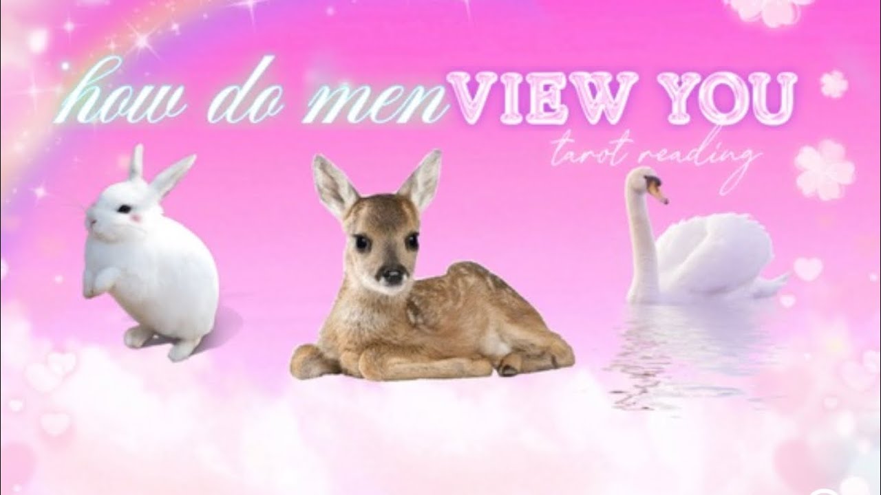 Как мужчины видят вас •выберите карту Таро•