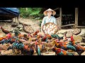 Harvesting CHICKEN EGGS &  QUAIL EGGS...Goes To The Market Sell - Making garden / Cooking