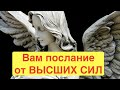 🔔Что хотят сообщить Вам Высшие Силы  🔮О чем предупреждают Вас/Тиана Таро Прогнозы Предсказания