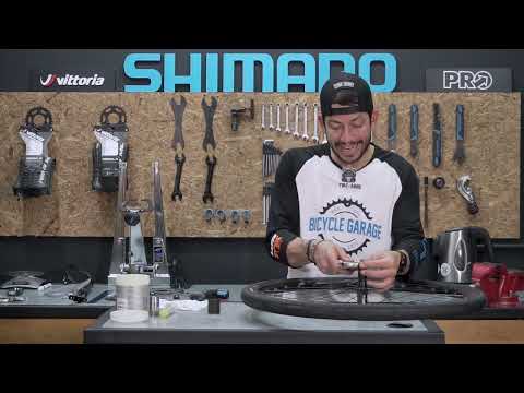 Mantenimiento de NUCLEO SHIMANO / FREEHUB Mantainence /Guía paso a paso
