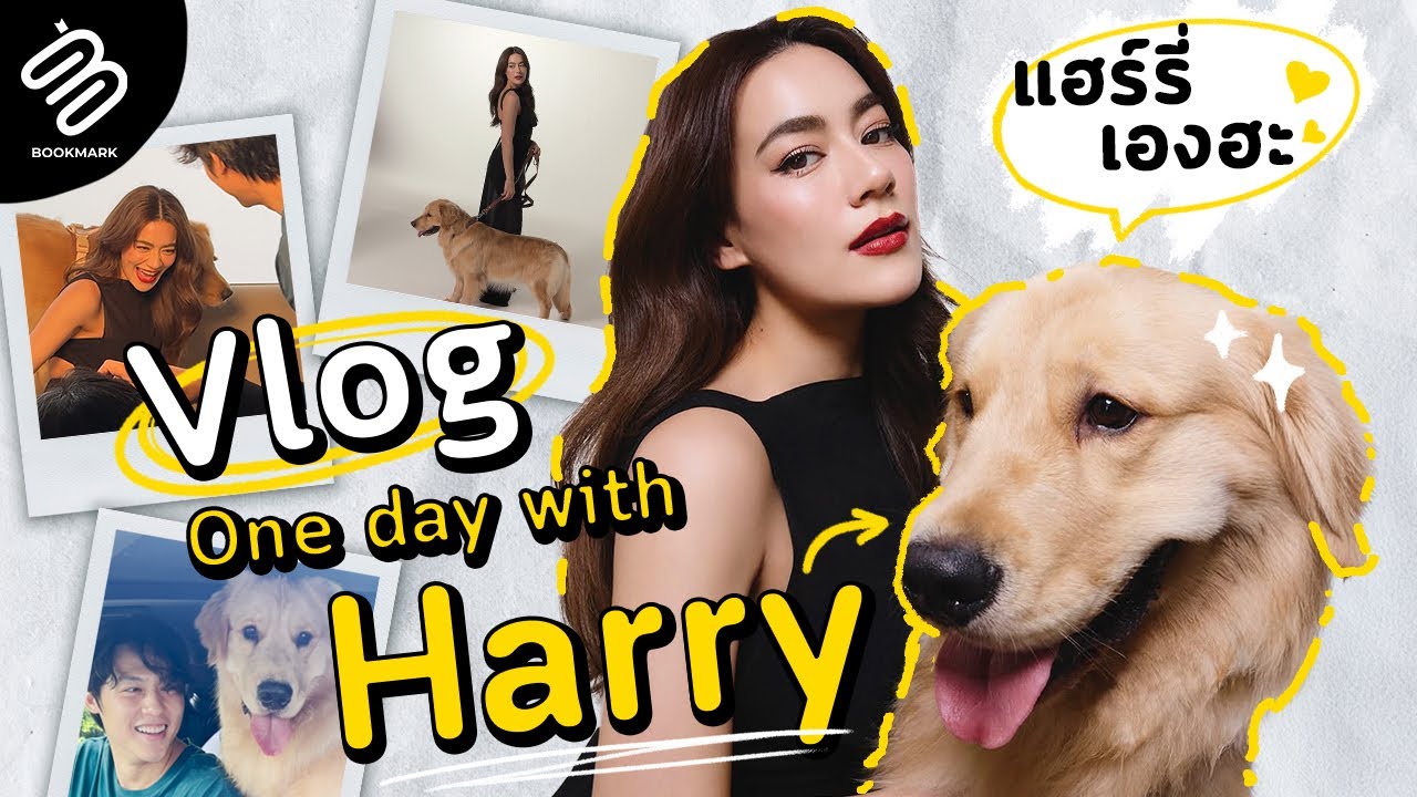 Vlog(Work) one day ไปกับ Harry หมาก-คิมไปไหน แฮร์รี่ไปด้วย❤️| Bookmark