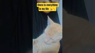 Sheru With Me catcutesheru