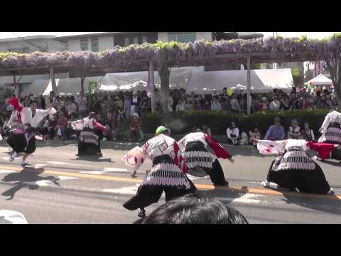 大宮同心桜連さん　 春日部藤まつり2014