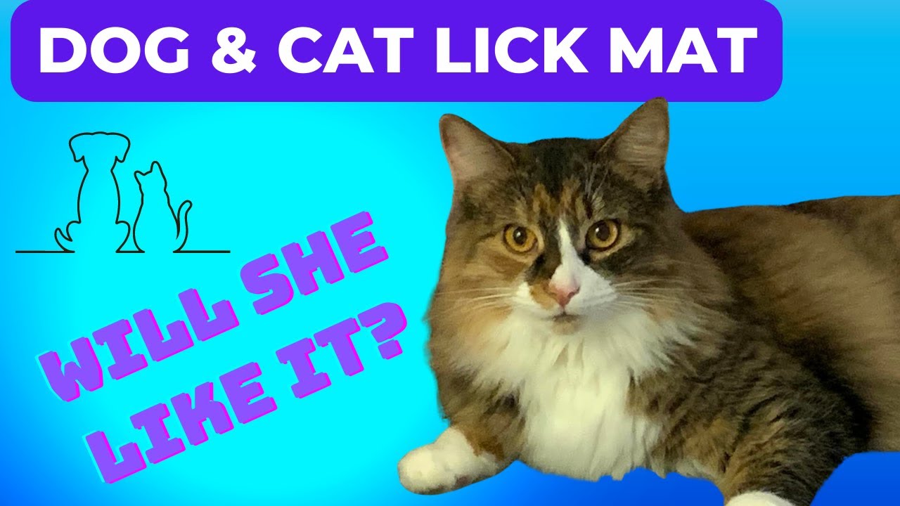 Dog and Cat Lick Mat 