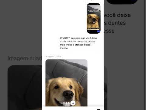 Xalalá🐕😅 #cachorro #goldenretriever #animais #petsengraçados