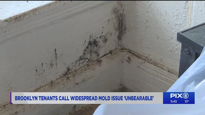 Mold issue at Brooklyn apartment unbearable: tenant