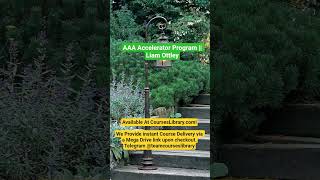 AAA Accelerator Program || Liam Ottley