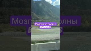 Мозговые волны вибрации сознания и ритм души#мозговыеволны #brainwaves #альфа #тета #гамма #сознание