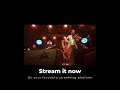 New jazz latin violin solo by Bjarke Falgren playing Rossignol live HQ