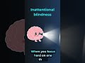 Your Brain Hides Things From You