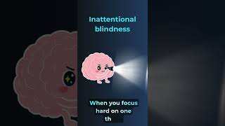 Your Brain Hides Things From You