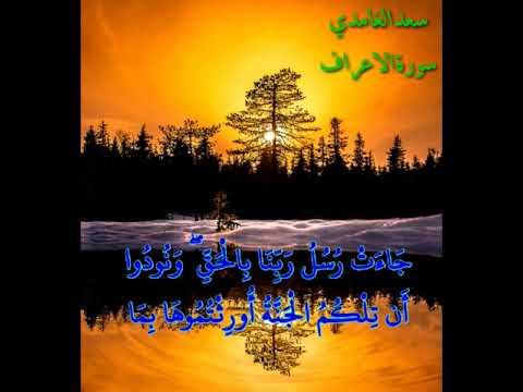سعدالغامدي ونادى أصحاب الجنةأصحاب النار حالات وتس