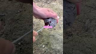 Lille - Monaco Maçında Şok Anlar