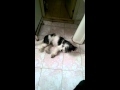 VIDEO0049