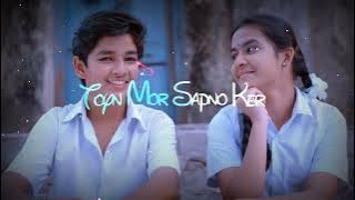 Toy Mor Sapna Ker Raja Re || Nagpuri status|| Romantic WhatsApp status|| Toy Mor Ashiq ||Sk SonuTuri