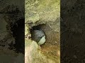 Crouching Mama Hidden Bunny