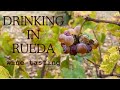 Rueda visiting spains most famous white wine region