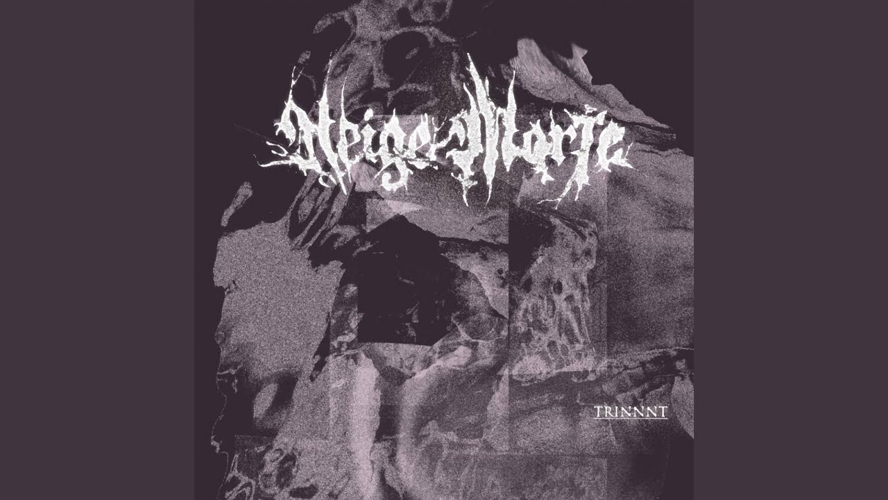 From DIY To Professional Embracing Independence Calvalouise Sebdigatto - YouTube Auto PHP Script