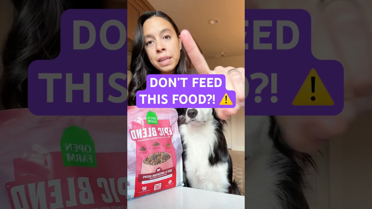 Open Farm Epic Blends Review 👀 