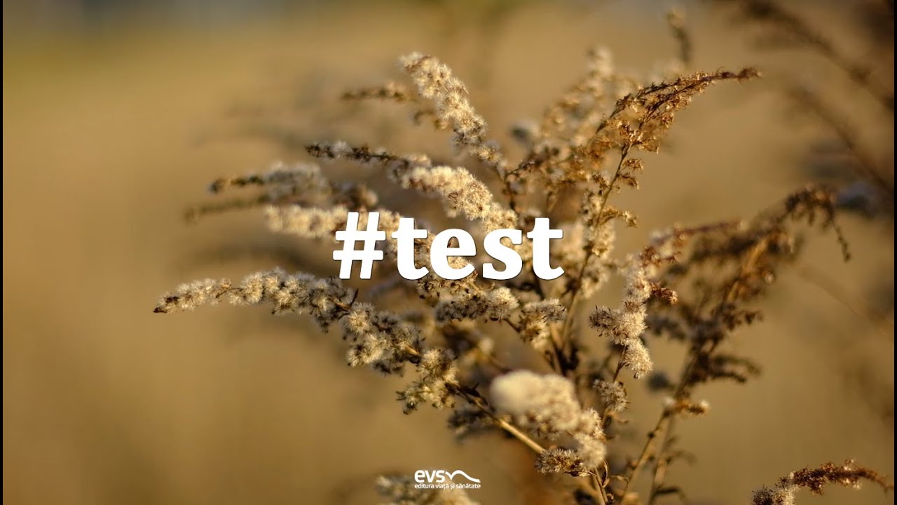 Test