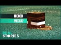 Is Mecca In The Wrong Place? (Global Documentary) | Real Stories