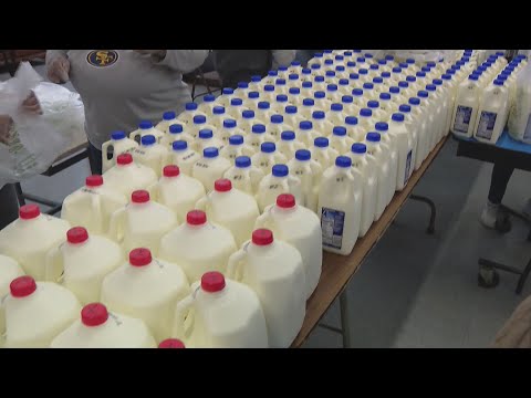 Chicago food pantries step up as SNAP benefits stall during government shutdown