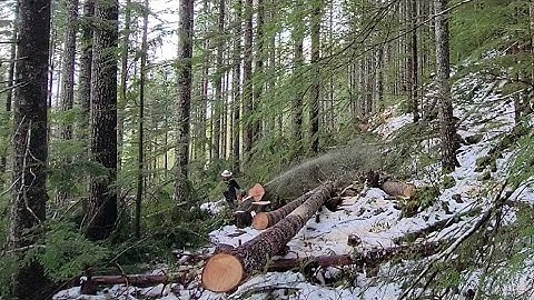 What My Work Entails